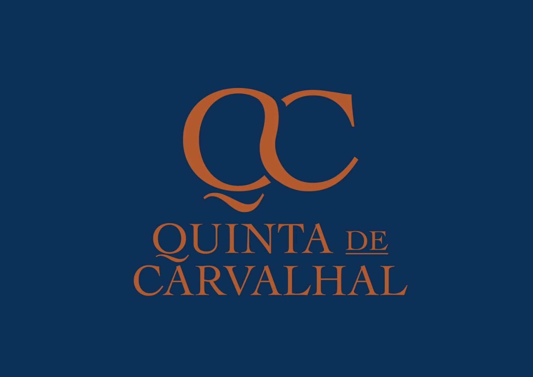 Villa Quinta De Carvalhal - Casa Da Vinha Guimarães Exterior foto